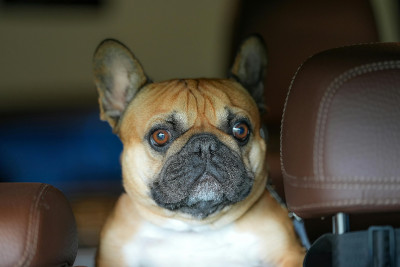 Hotel Carretera Travelodge